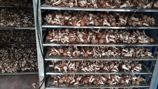 Industrial Fruit and Vegetable Dehydrator Plum Potato Potato Pasta Persimmon Plant Root Pumpkin Raisins Red Wood Mango Drying Machine Fish Pet Food Dehydrator